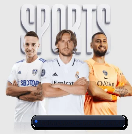 乐动体育官网入口围绕看球场景设计的核心服务 - LDSPORTS